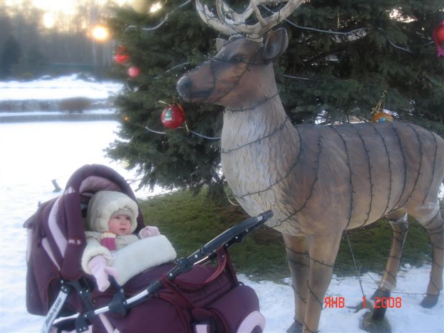 Picture 033.jpg